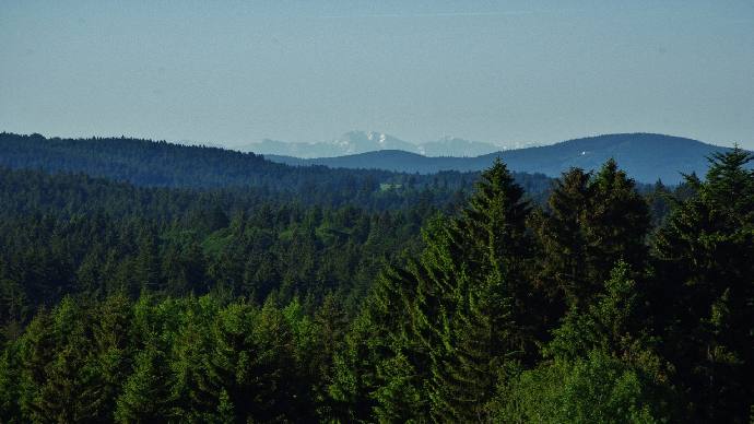 Zum Latschen In Mauth Geeignet Fur Jede Jahreszeit